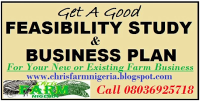 Poultry production business plan sample